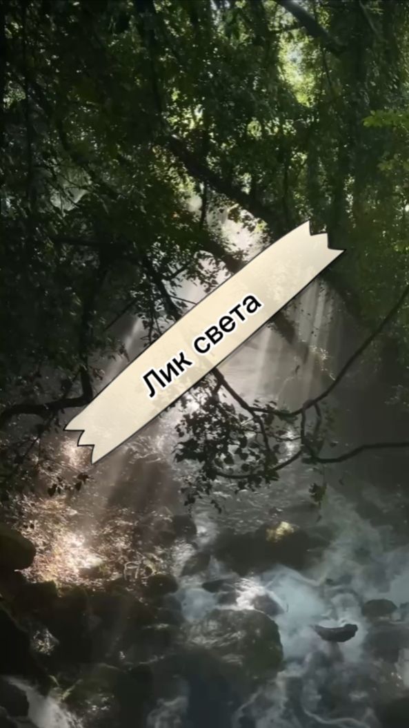 Лик света, автор Наталия Говорухина