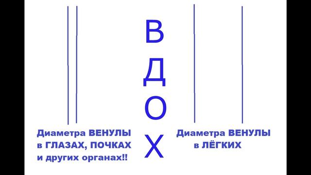 Очищение кровеносных сосудов ПОЛНЫМ ДЫХАНИЕМ ЙОГОВ! Свет . Истина и Путь!