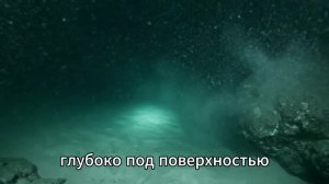 Ужасающие морские монстры, которые ДЕЙСТВИТЕЛЬНО СУЩЕСТВУЮТ… И наука НЕ МОЖЕТ их объяснить