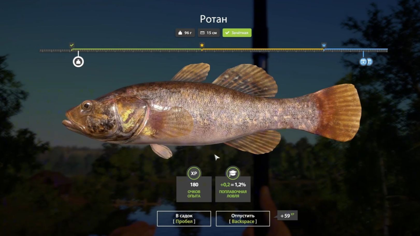 Играю в Русскую рыбалку: прохождение и обзор Russian Fishing 4 #рыбалка #игра #игрок #геймер #игры