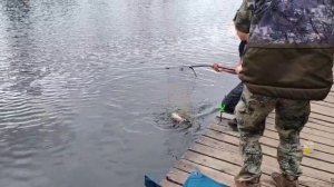 Снова Карпуша