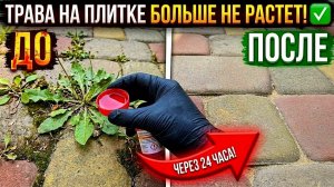 Я 35 лет искал этот рецепт! Как уничтожить траву навсегда между плиткой?