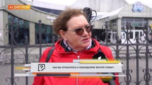 • ОПРОС ДНЯ: Есть ли у Вас домашние животные? •