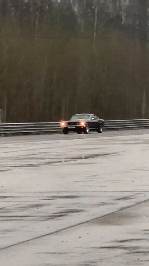 Mustang Bullit от M-Customs