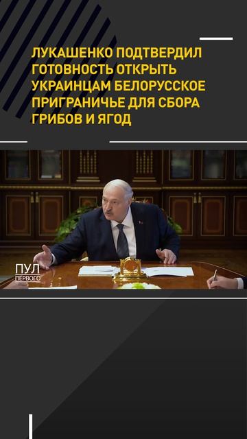Лукашенко подтвердил готовность открыть украинцам белорусское приграничье