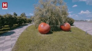 Мануфактуры Bosco | МЕХАНИКА
