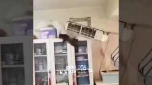 Приколюхи с котами