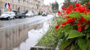 В разных районах Новоуральского городского округа продолжается озеленение
