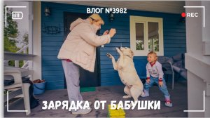 Зарядка с бабушкой! -  ВЛОГ №3983 - 24.06.26