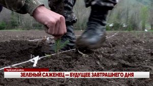 ЗЕЛЕНЫЙ САЖЕНЕЦ   БУДУЩЕЕ ЗАВТРАШНЕГО ДНЯ