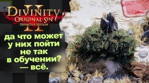Ведро на голове, бочка на теле · Divinity Original Sin 2 · 1