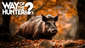 Охота на Кабана | Way of the Hunter 2 | Путь Охотника #17