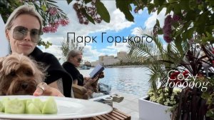Парк Горького в Москве🎡Что стало с парком отдыха?🎠Изи впервые в ресторане🍽️Чиллим на набережной🚢