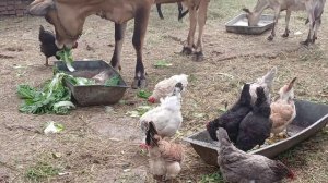 Получила подарок