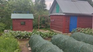 Обзор сада 2 часть