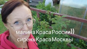 Видео привет с 6 соток 24 июня 2026 года.