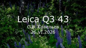 С.В. Савельев - Leica Q3 43