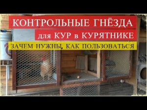 КОНТРОЛЬНЫЕ ГНЁЗДА для кур в курятнике. Зачем нужны, как пользоваться
