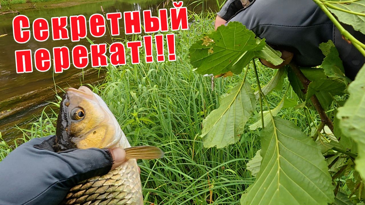 ЗДЕСЬ СПИННИНГИ РАЗЛЕТАЕТЮТСЯ В ЩЕПКИ!!! НАСТОЯЩИЙ КЛЁВ ГОЛАВЛЯ!!! смотреть онлайн
