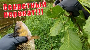 ЗДЕСЬ СПИННИНГИ РАЗЛЕТАЕТЮТСЯ В ЩЕПКИ!!! НАСТОЯЩИЙ КЛЁВ ГОЛАВЛЯ!!!