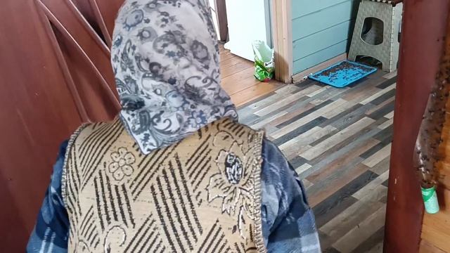 Анна Михайловна и грустит и радуется . смотреть онлайн