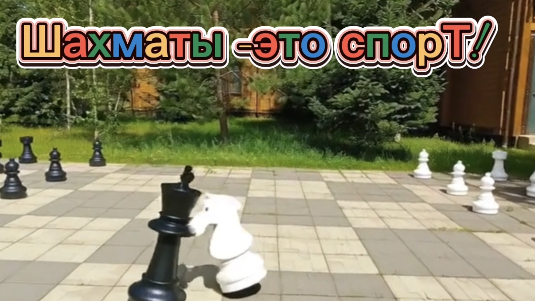 Шахматы - это спорТ.
