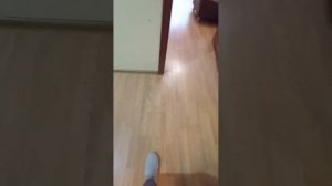 1000058490.mp4
