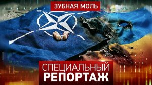Зубная моль