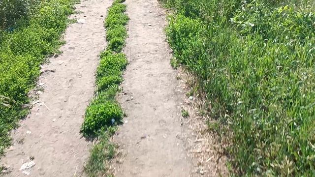 Опять новые анекдоты