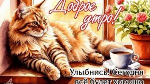 с добрым утром