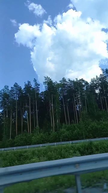 1000026411.mp4 По дороге с облаками 😍
Родной Урал