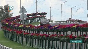 Новости Старого Оскола от 25 июня