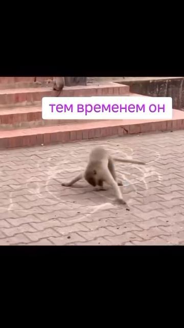 оберег от неë))) смотреть онлайн