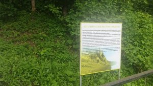Гуляем в динопарке в г. Котельниче