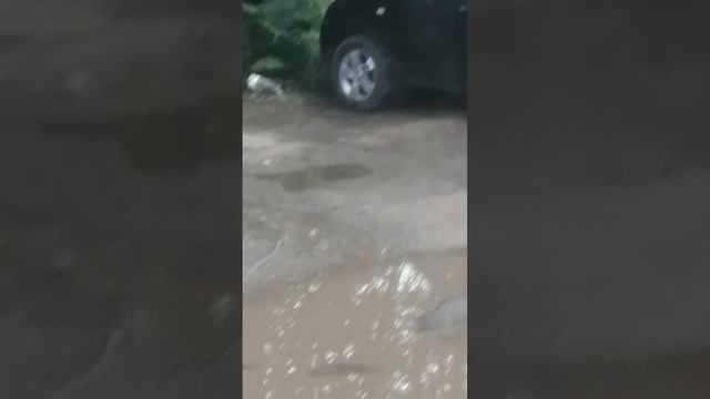 она ходит но живодёры над ней издеваются
