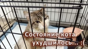 Ластику плохо...