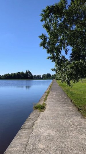 Пляж ⛱️ Северный Сестрорецк Санкт-Петербург ☀️