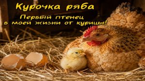 Курочка Ряба