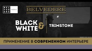 BLACK & WHITE | Trimstone. Применение в современном интерьере.