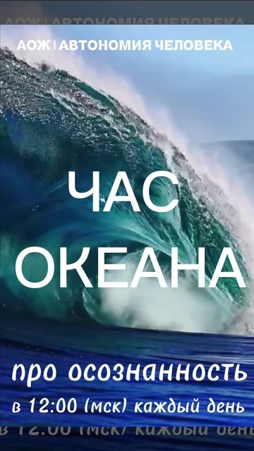 Каждый день про осознание своей врожденной осознанности в «ЧАС ОКЕАНА» каждый день в 12:00 мск смотреть онлайн