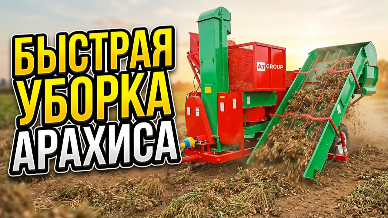 Арахис. Комбайн прицепной для уборки. Китай #арахис #комбайн #уборка