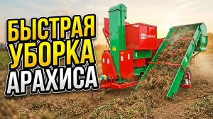 Арахис. Комбайн прицепной для уборки. Китай #арахис #комбайн #уборка