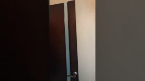 1000365346.mp4