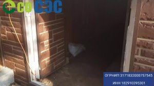 Уничтожение удаление плесени грибка с древесины!