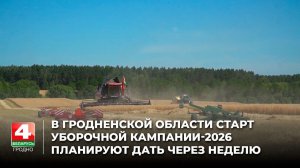 В Гродненской области старт уборочной кампании-2026 планируют дать через неделю
