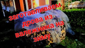 Заготавливаем дрова из валежника на зиму