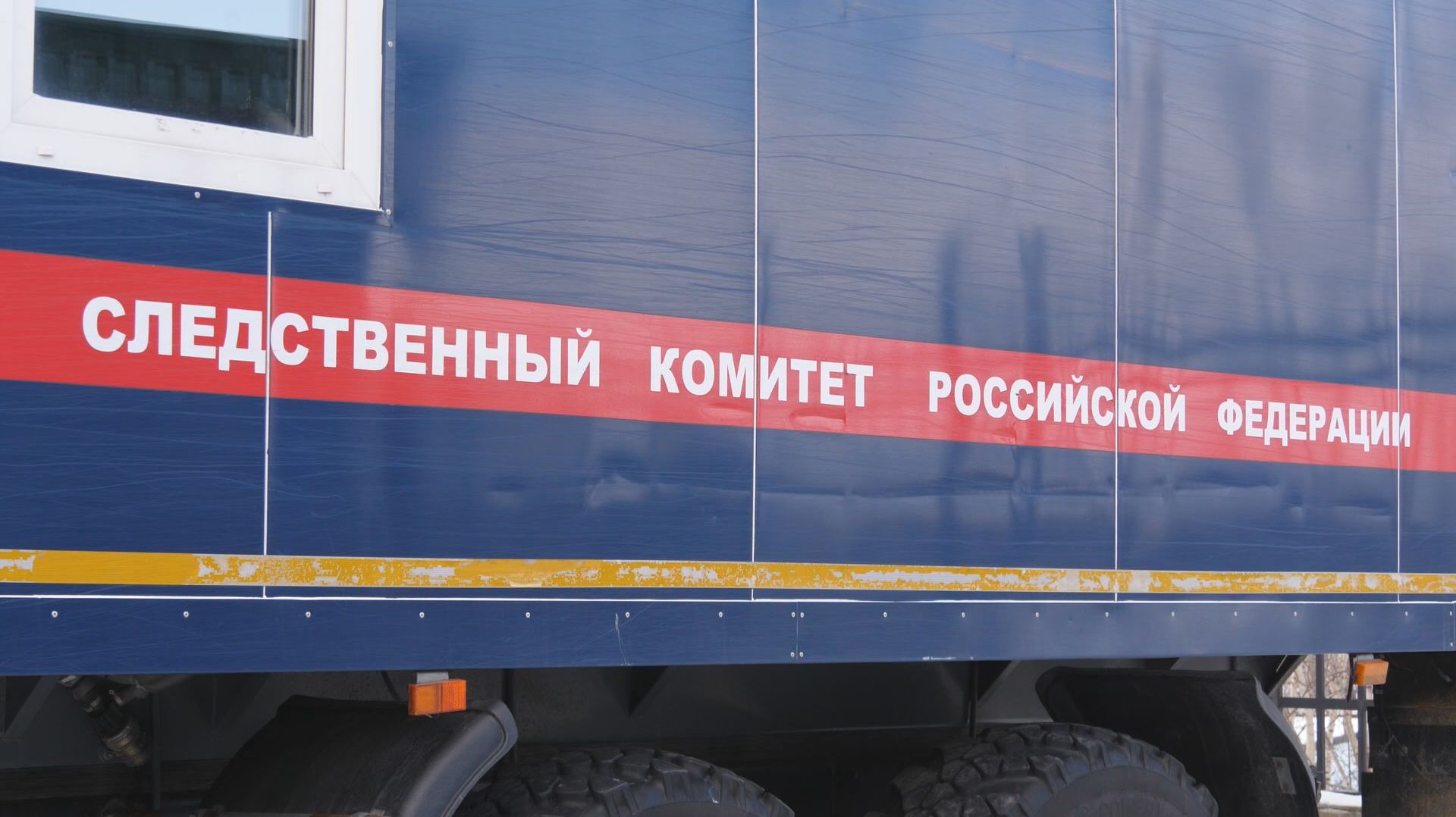 С БЕНЗОПИЛОЙ НА УЧАСТКОВОГО