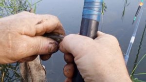 замечательный выезд на природу
