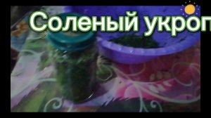 Соленый укроп