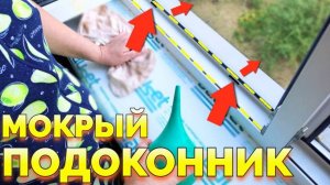 Протекает окно и мокрый подоконник при дожде